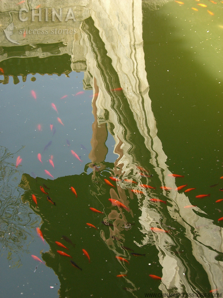 Fish in the Forbidden City, Beijing Fish in the Forbidden … Flickr