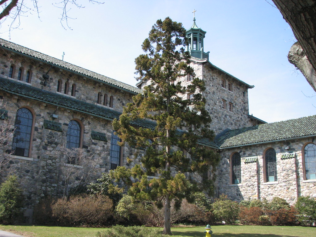 Maryknoll Seminary Cryptomeria lobbi Japanese cedar Flickr