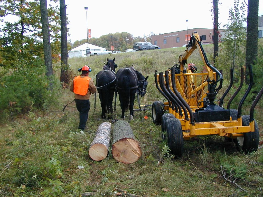 Horse logging and smallscale equipment demo, Grand Rapids MN a photo on Flickriver
