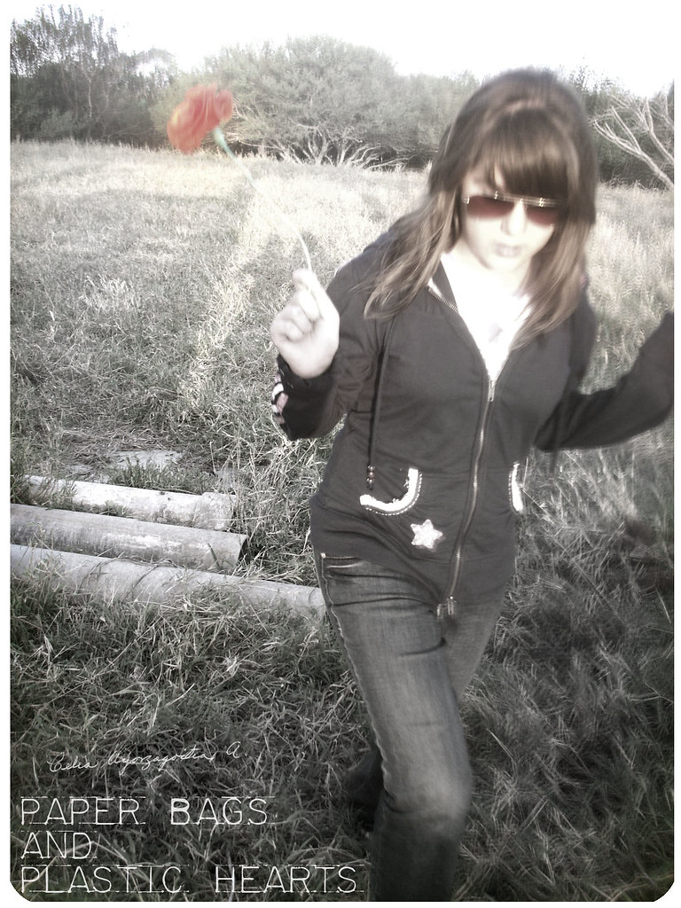 Paper bags and Plastic hearts ♥ Liz Mongrell Flickr