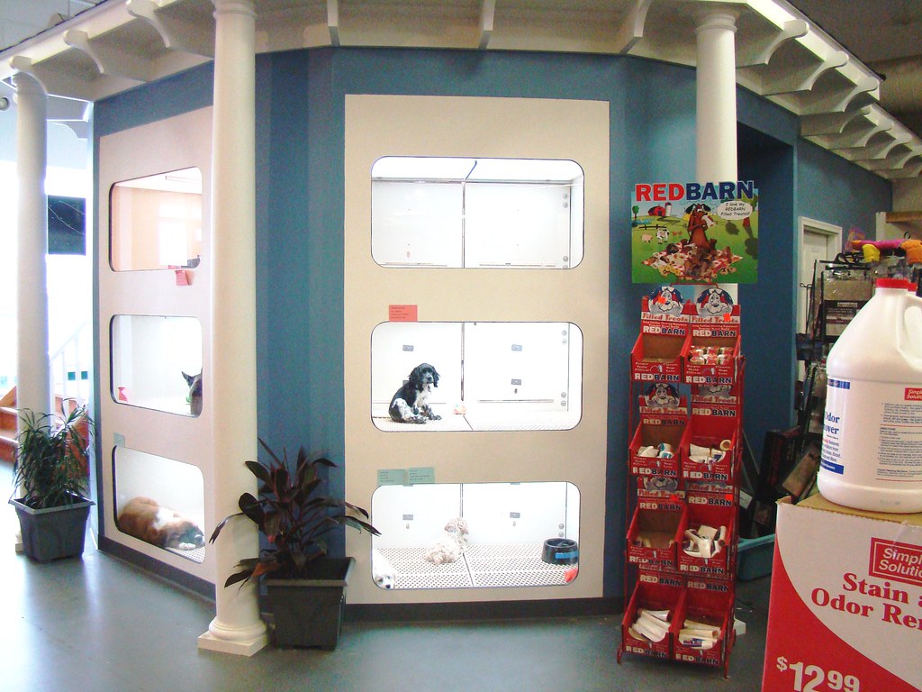 Puppy Kennels at Steve's Pets this is our new puppy displa… Flickr