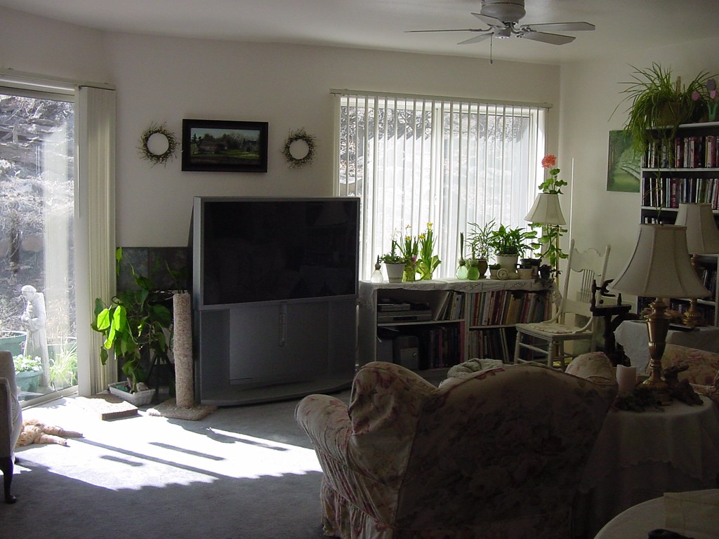My Living Room view 2 Lisa P. Boni Flickr