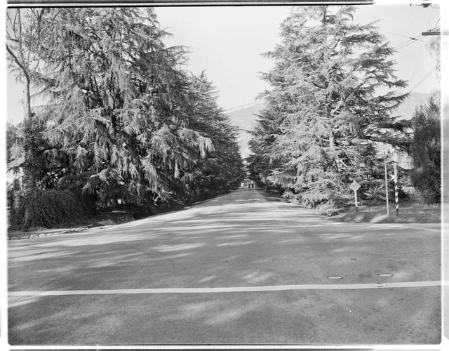 LAMTA Christmas Tree Lane Pasadena MTA_1390 Christmas Tr… Flickr