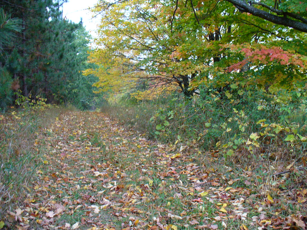 Wild Rose Farm Pathway Wild Rose Farm Flickr