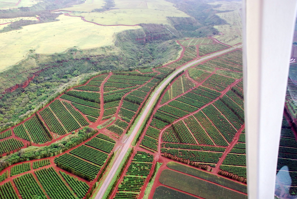 Coffee Plantation Oahu Hawaii Helicopter Tour Coffee Plant… Flickr