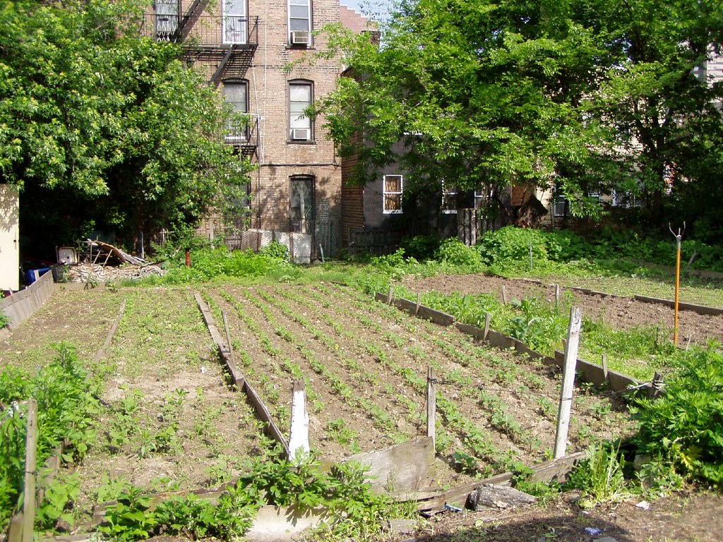 Daly Avenue Community Garden, Bronx This was another favor… Flickr