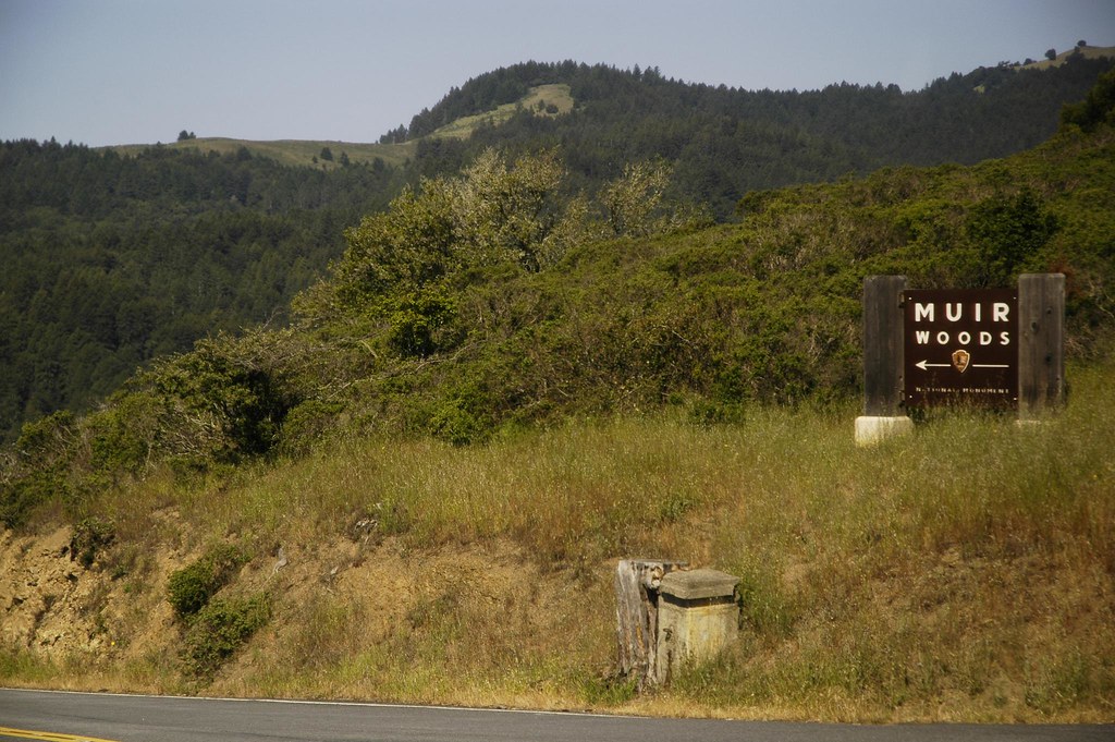 road to muir woods 25/04 Muir Woods and Sausalito. Will Lee Flickr