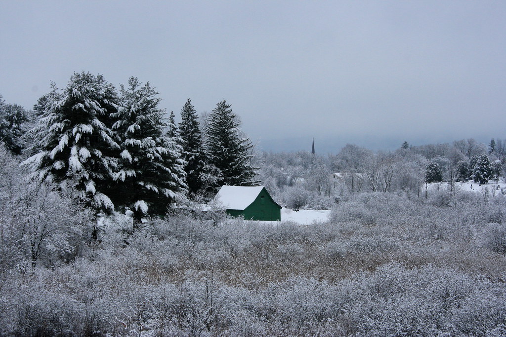 wetland and barn Lisabeth Flickr
