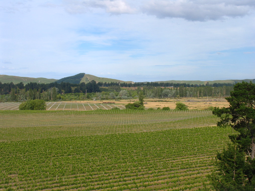 Kemblefield Hawkes Bay estate owned by John Kemble, origin… Flickr