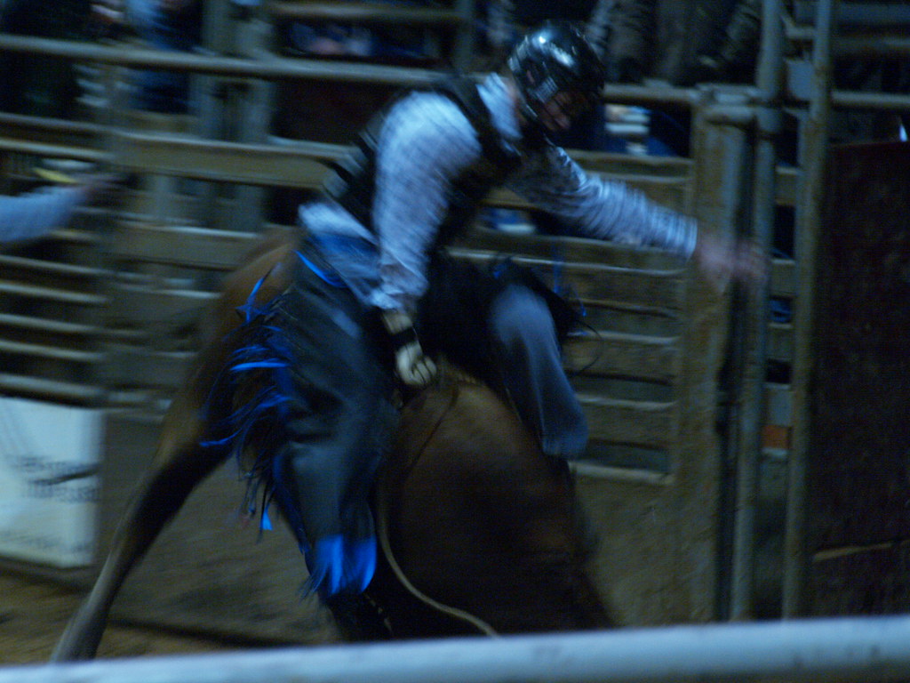 Hitchcock Texas Galveston County fairgrounds Winter Series… Flickr