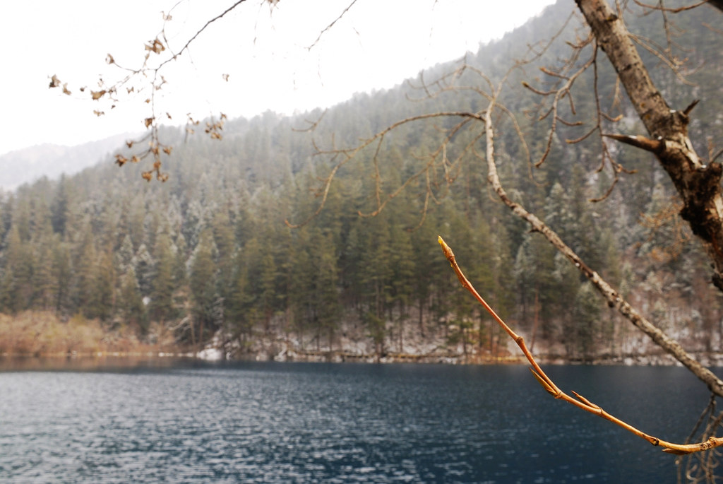 Tiger Lake Tiger Lake (老虎海) is elevated 2298 meters, direc… Flickr