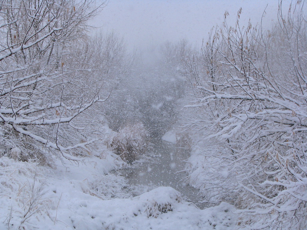 Snowy Spring morning Nature_Deb Flickr