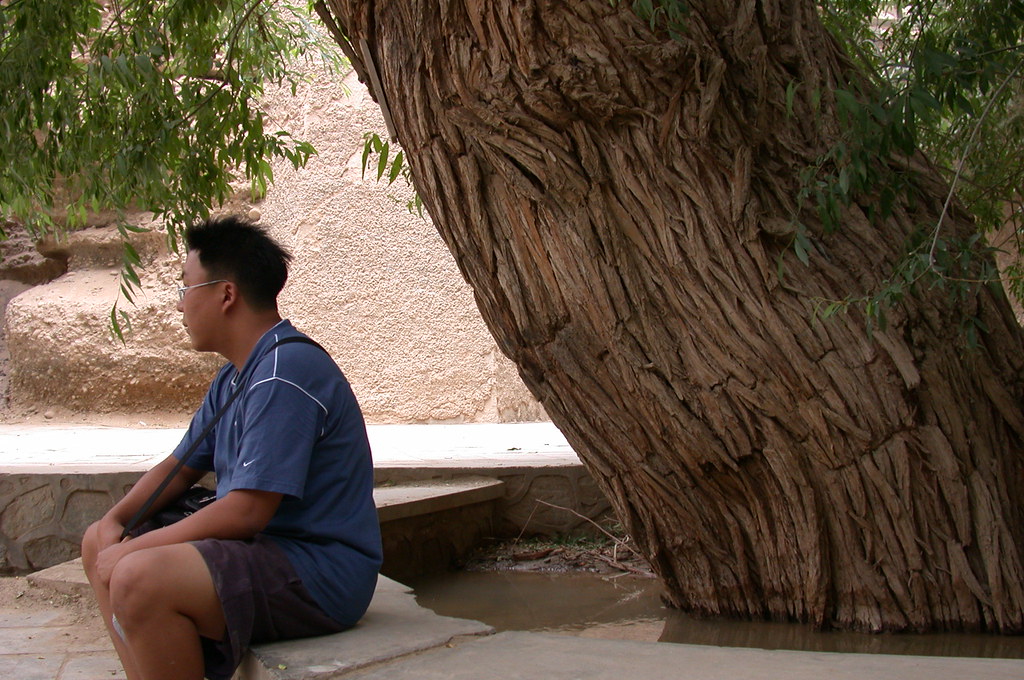 dscn1414.jpg August 2nd, 2002 David Tansey Flickr