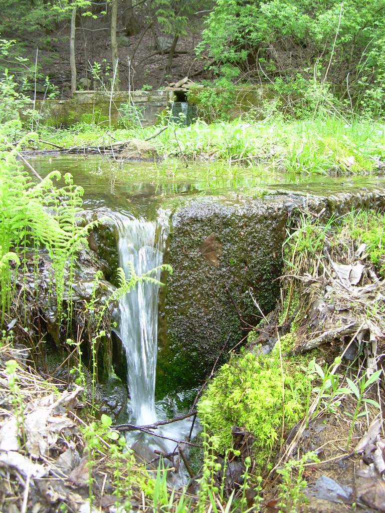 Bell Spring Bell spring is actually a complex of springs w… Flickr