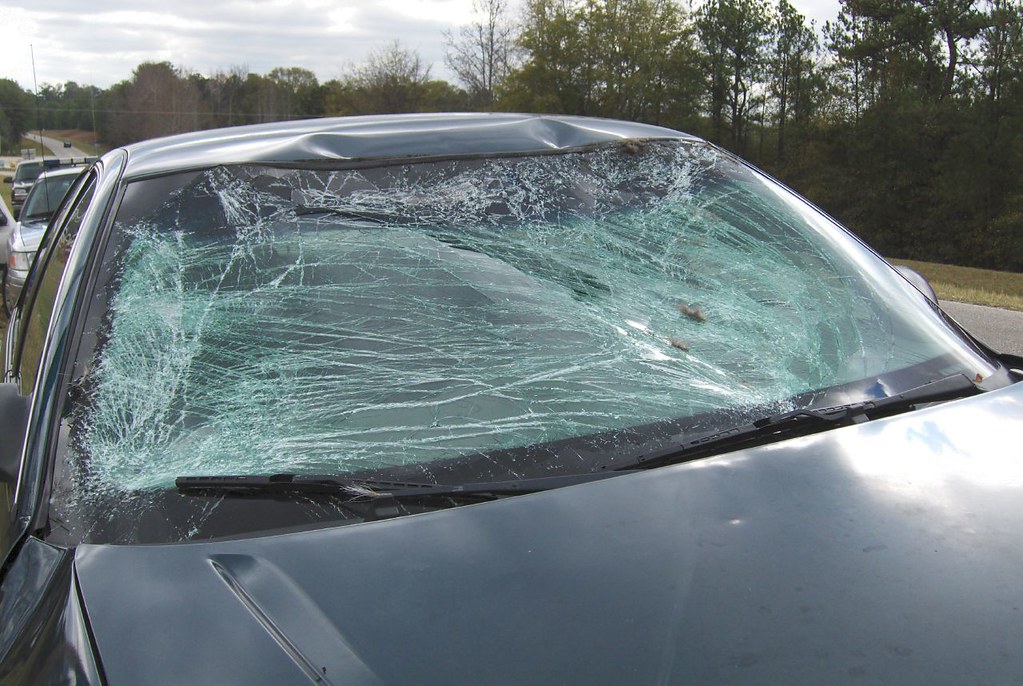 What A Deer Can Do To Your Windshield A cousin's encounter… Flickr