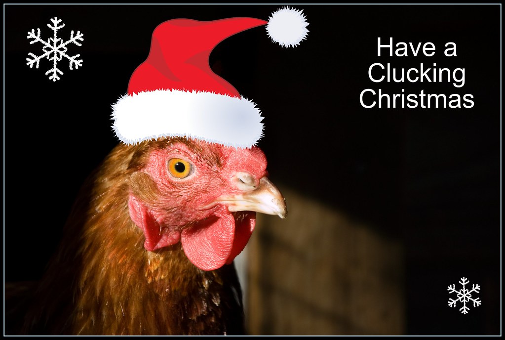 Christmas Chicken Merry Christmas Everybody! dopiaza Flickr
