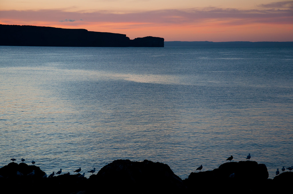 A view of Bell Island from Portugal Cove with a couple of … Flickr