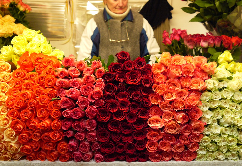24 hour flower market View large Roses for sale at the 24 … Flickr