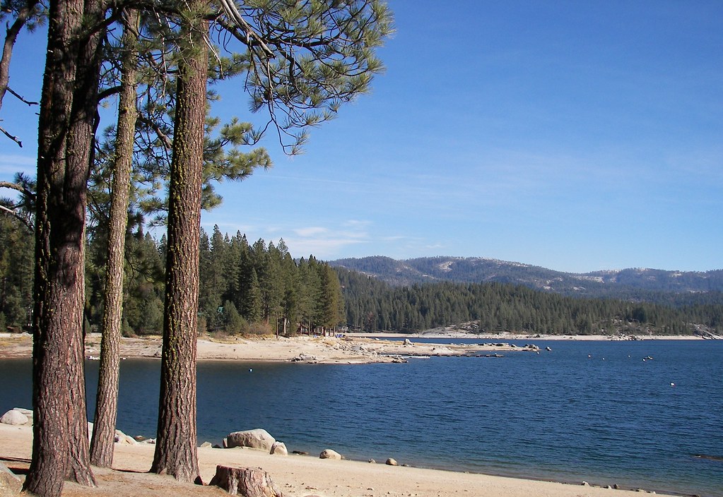 Shaver Lake Shoreline Shoreline of Shaver Lake, California… Flickr