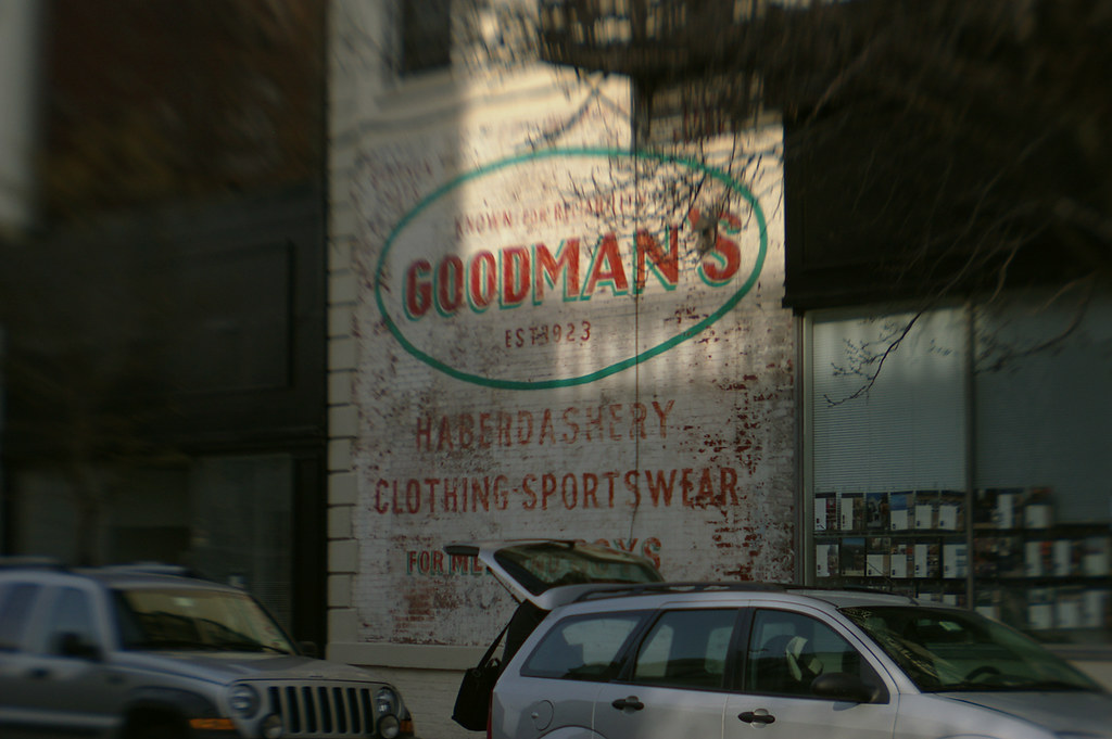 Goodmans Nesster Flickr