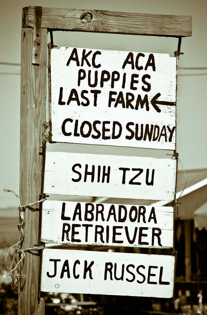 Initiative Stop Puppy Mills I live in Lancaster County … Flickr