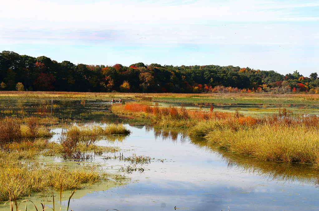 Great Meadows Great Meadows is a wildlife refuge. The last… Flickr