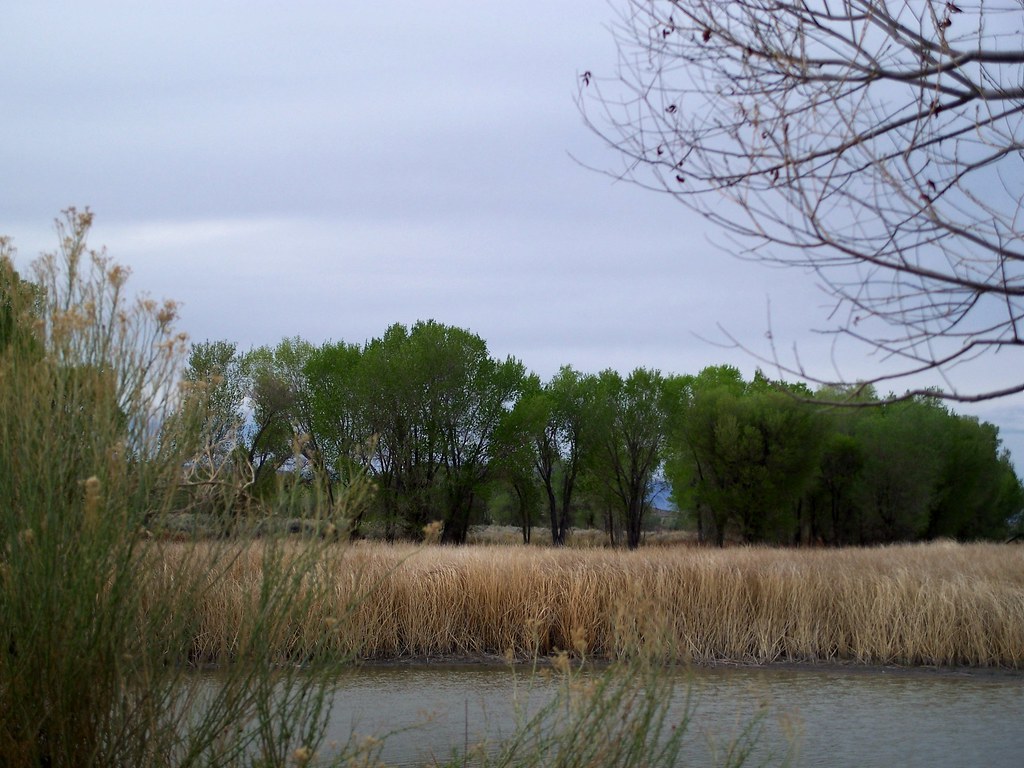 The Glade at UPL Jim Stanger Flickr