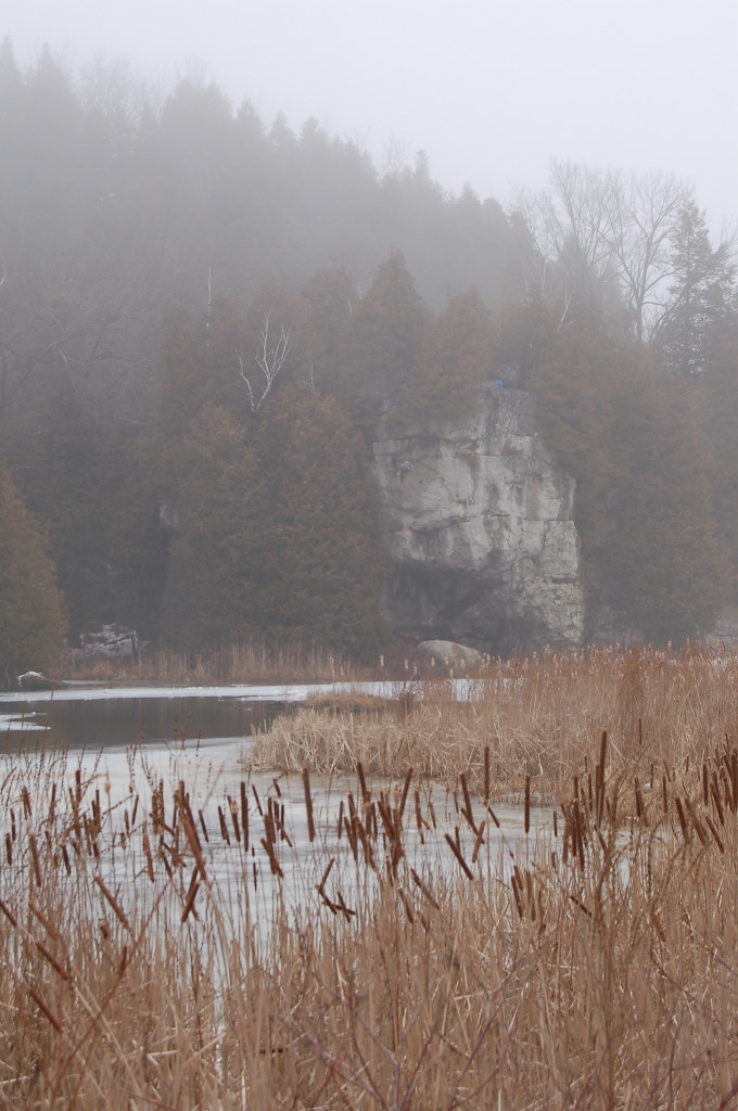 Rockwood Marsh in Fog Dave Sills Flickr