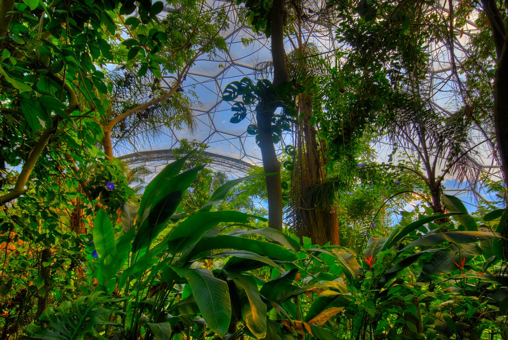 Modern Garden of Eden Tropical forest under the dome of th… Flickr