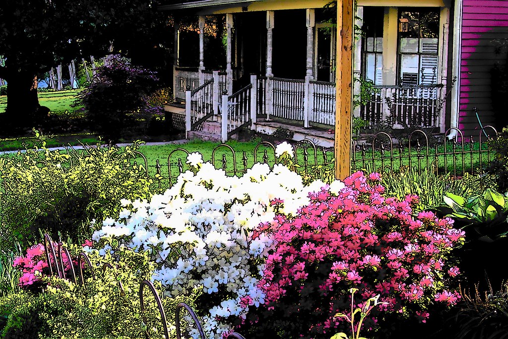 Spring Flowers East Street Culpeper VA. lewsviews Flickr