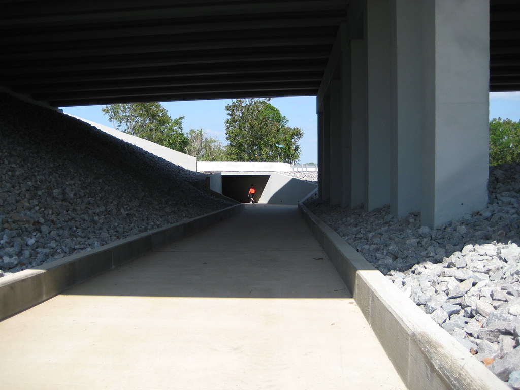 Briley Parkway underpass TheTurducken Flickr