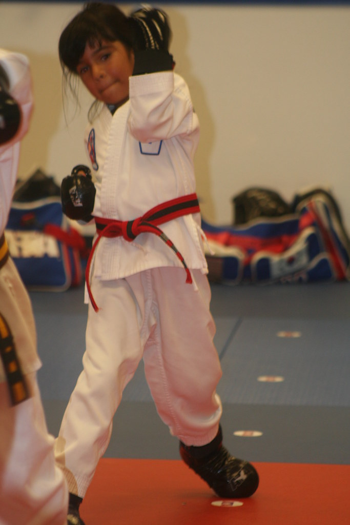 IMG_8097 Round Rock ATA Martial Arts Flickr