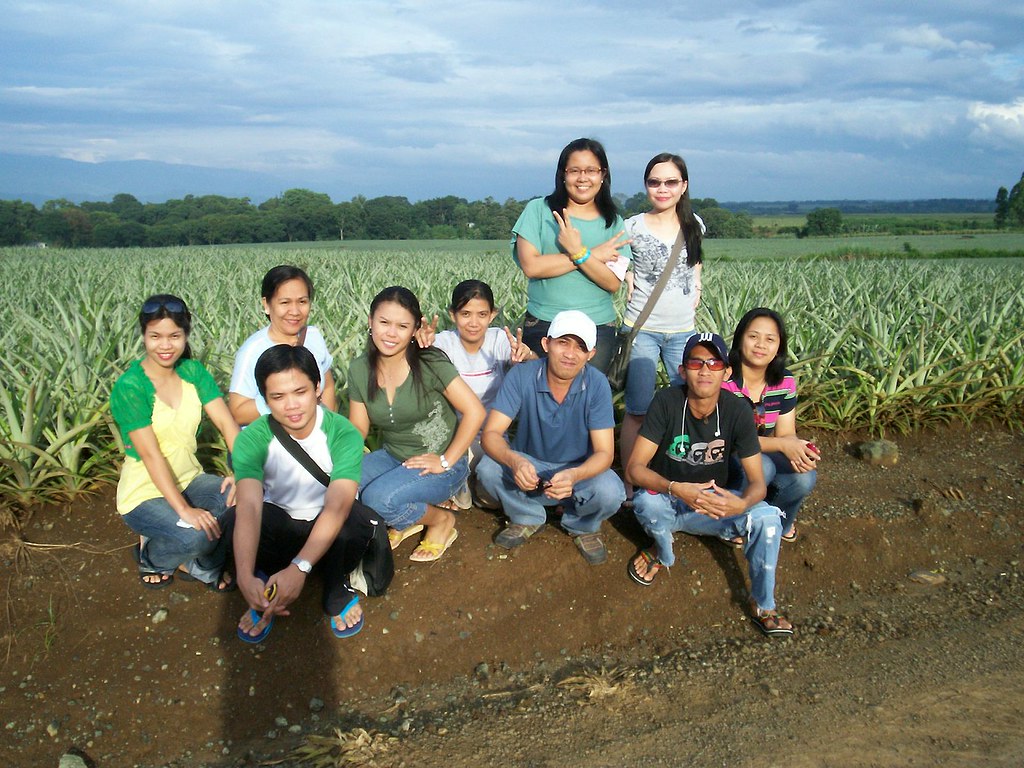 Del Monte Pineapple Plantation, Bukidnon Pineapples, pinea… Flickr
