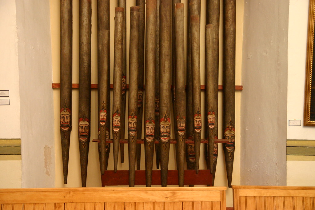 BUTTERFLY TRIP 055 Organ pipes, San Agustin church, Moreli