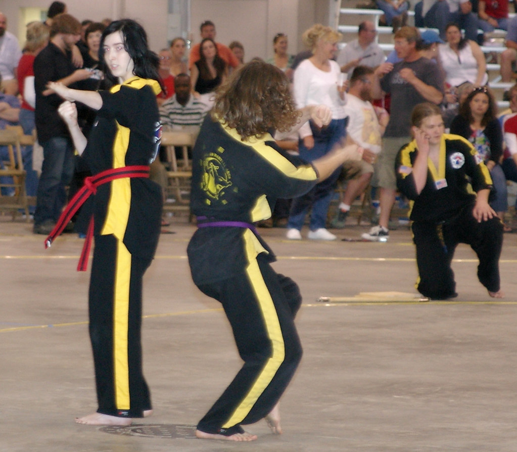 Level 10 Martial Arts Demo Team Level 10 Martial Arts Demo… Flickr