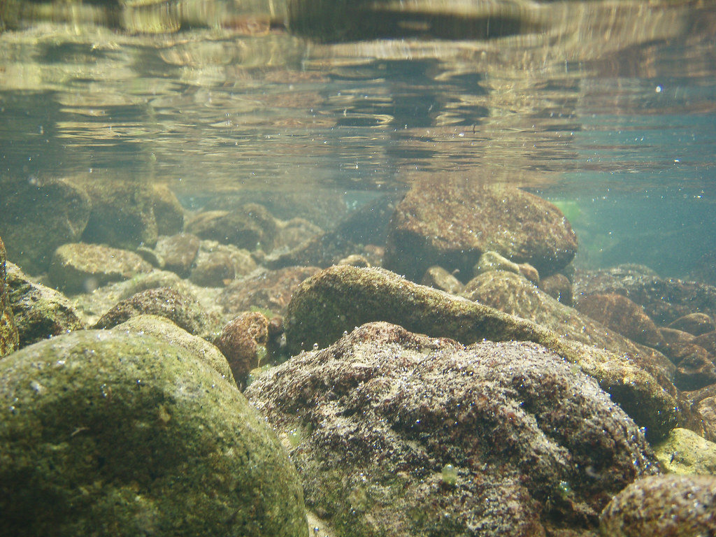 La Barge Creek (underwater) Peter Howe Flickr