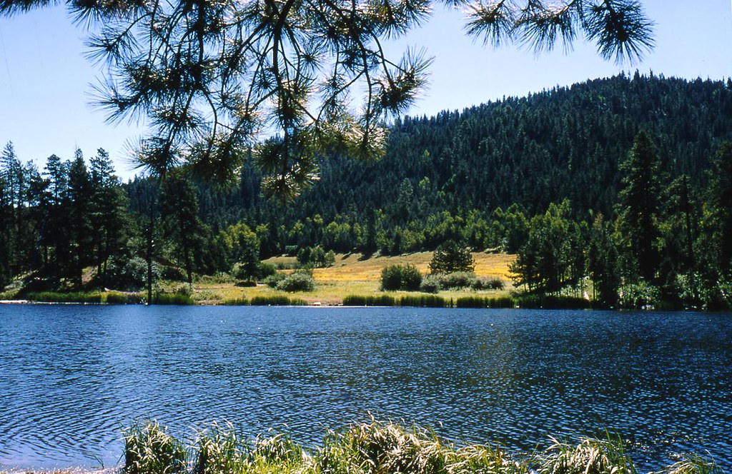 Fenton Lake Fenton Lake, Jemez mountain region of New Mexi… Flickr