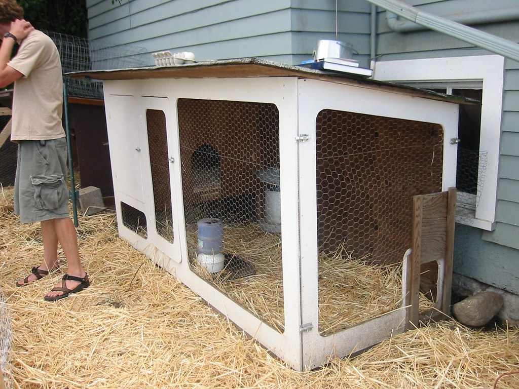 Chicken Coop Phinney Ridge 0 tips