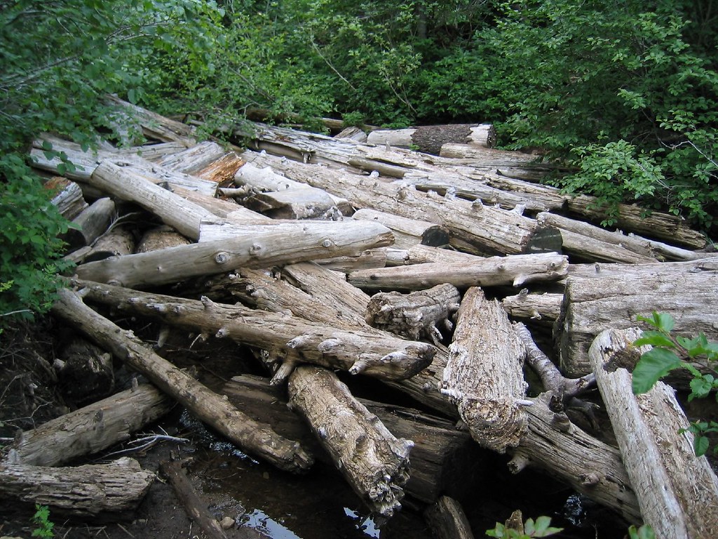 log jam discarded Amancay Blank Flickr
