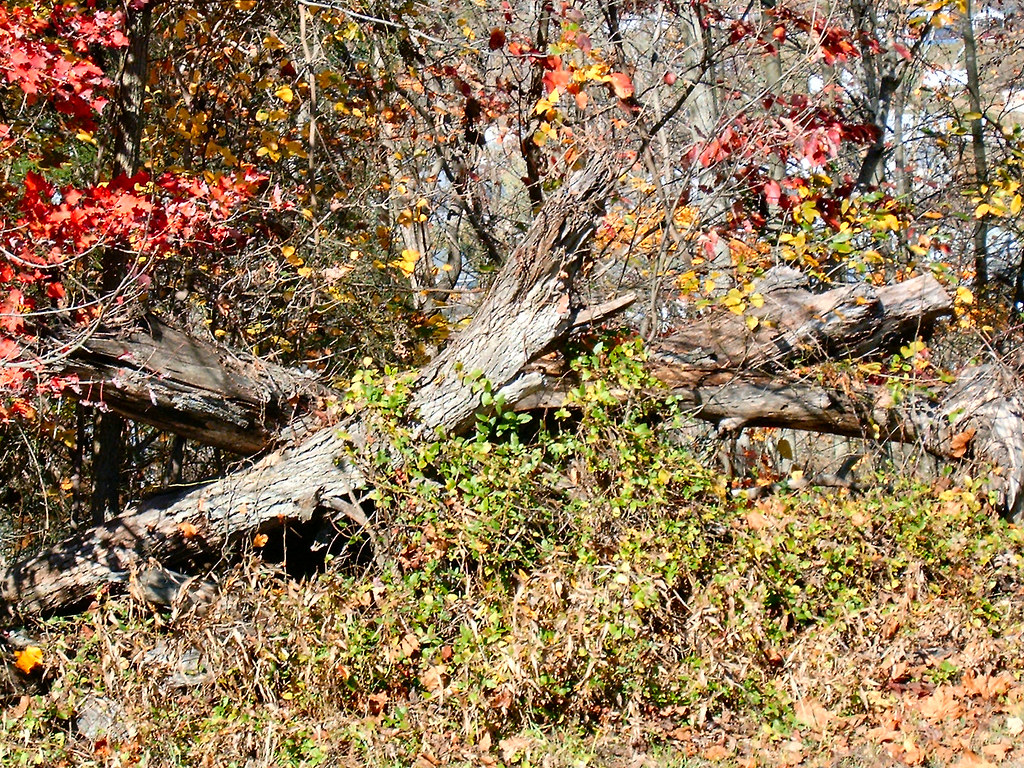 Marengo, Indiana Crawford County, Indiana Cindy Seigle Flickr
