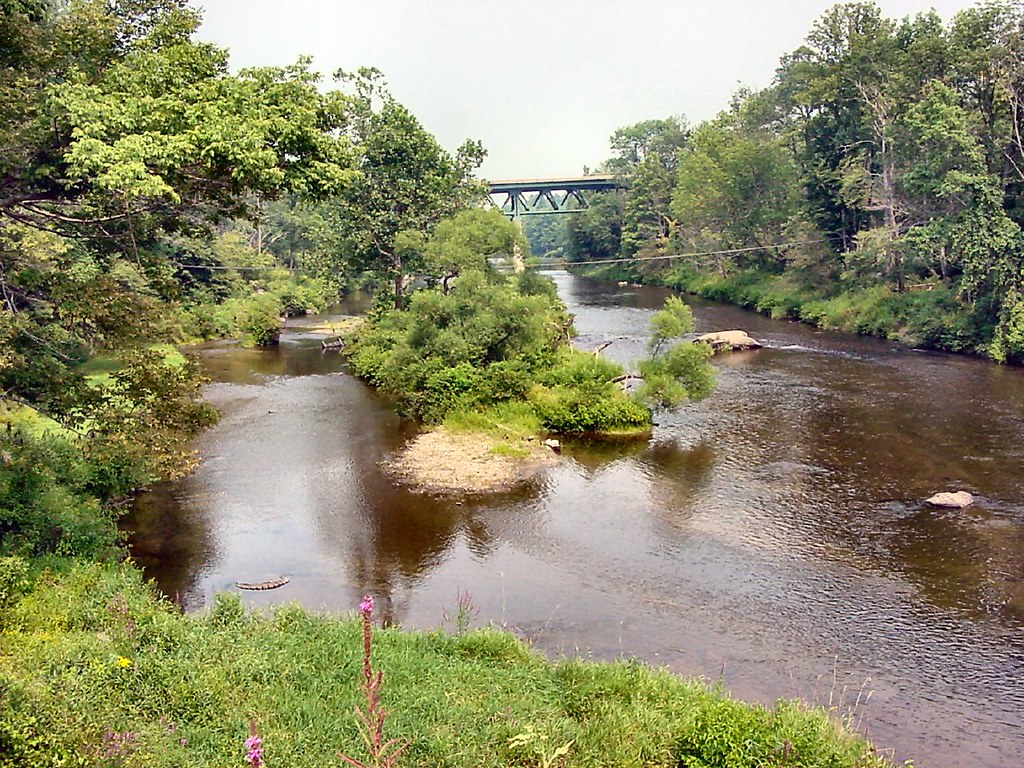 20050814 016 Neversink River at Bridgeville, Town of Tho… Flickr