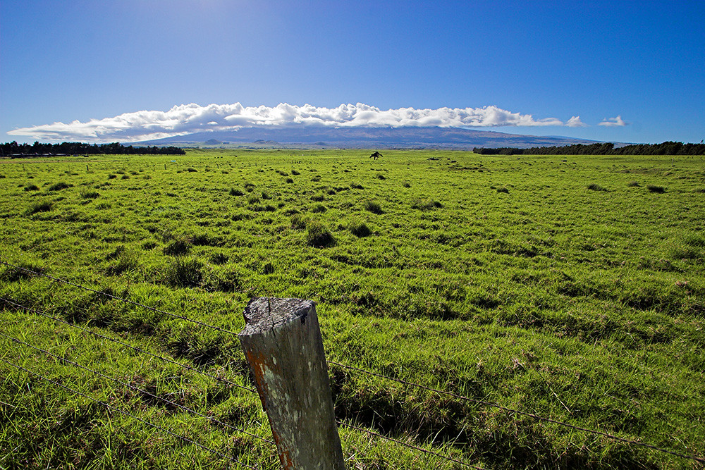 Mana Road Took this on the Waimea end of Mana Road, lookin… Flickr