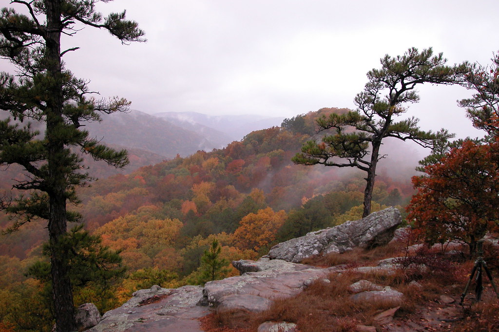 SAM'S THRONE A foggy day, Mount Judea, Arkansas DAN & LEILA PARKER