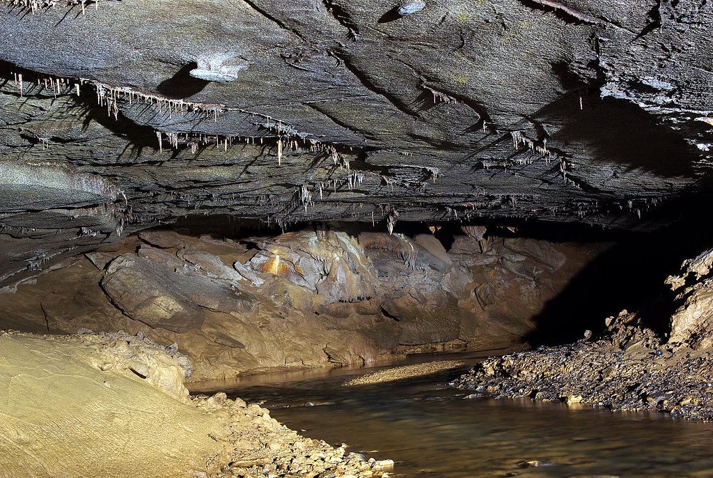 Freddie Dodson Cave, White Co, TN I was unable to provide … Flickr