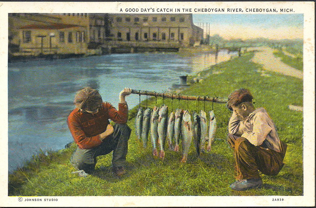 Cheboygan River and Dam Fishing Stringer Don...The UpNorth Memories