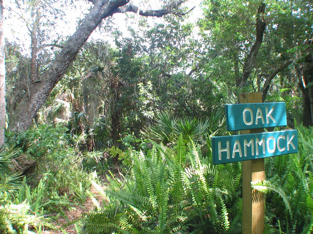 Pennington Park Oak Hammock E L Weems Flickr