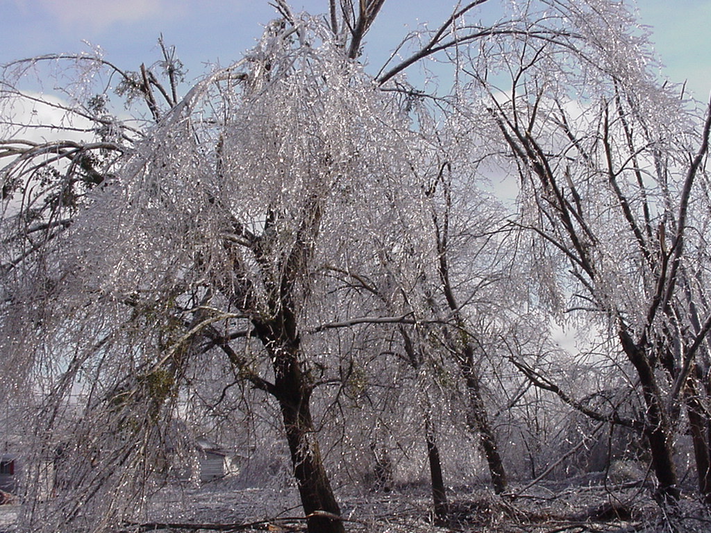 11 Quinton Oklahoma Icestorm122500 wiggyu2 Flickr