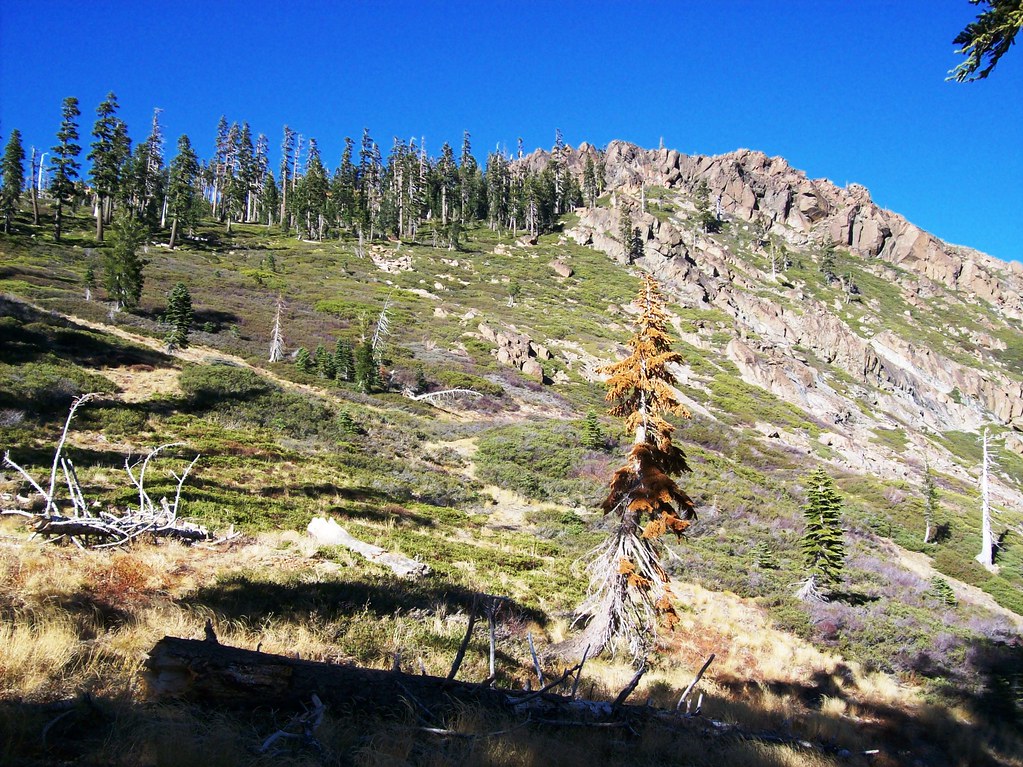 elwell75 Mount Elwell Hike, Plumas National Forest. Turn a… Flickr