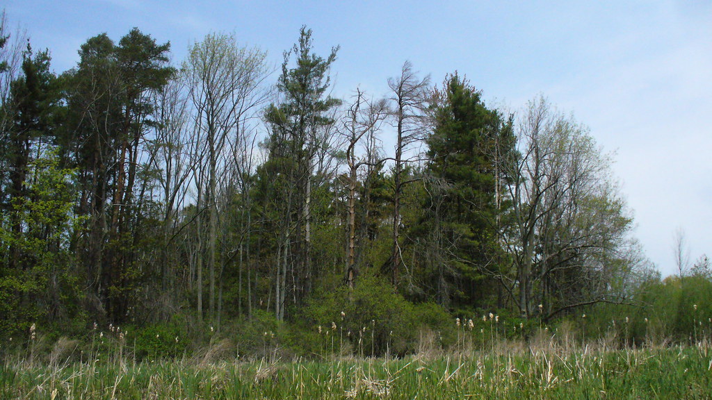 Black Creek Churchville 5 6 2008 Kayak fishing trip above … Flickr
