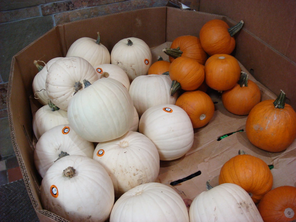 White Pumpkins at the Whole Foods Market in DC Adam Lederer Flickr
